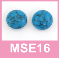 Magnetic Stud Earrings – MSE16
