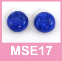 Magnetic Stud Earrings – MSE17