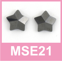 Magnetic Stud Earrings – MSE21