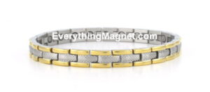 Magnetic Stainless steel Anklet – SSA33T2